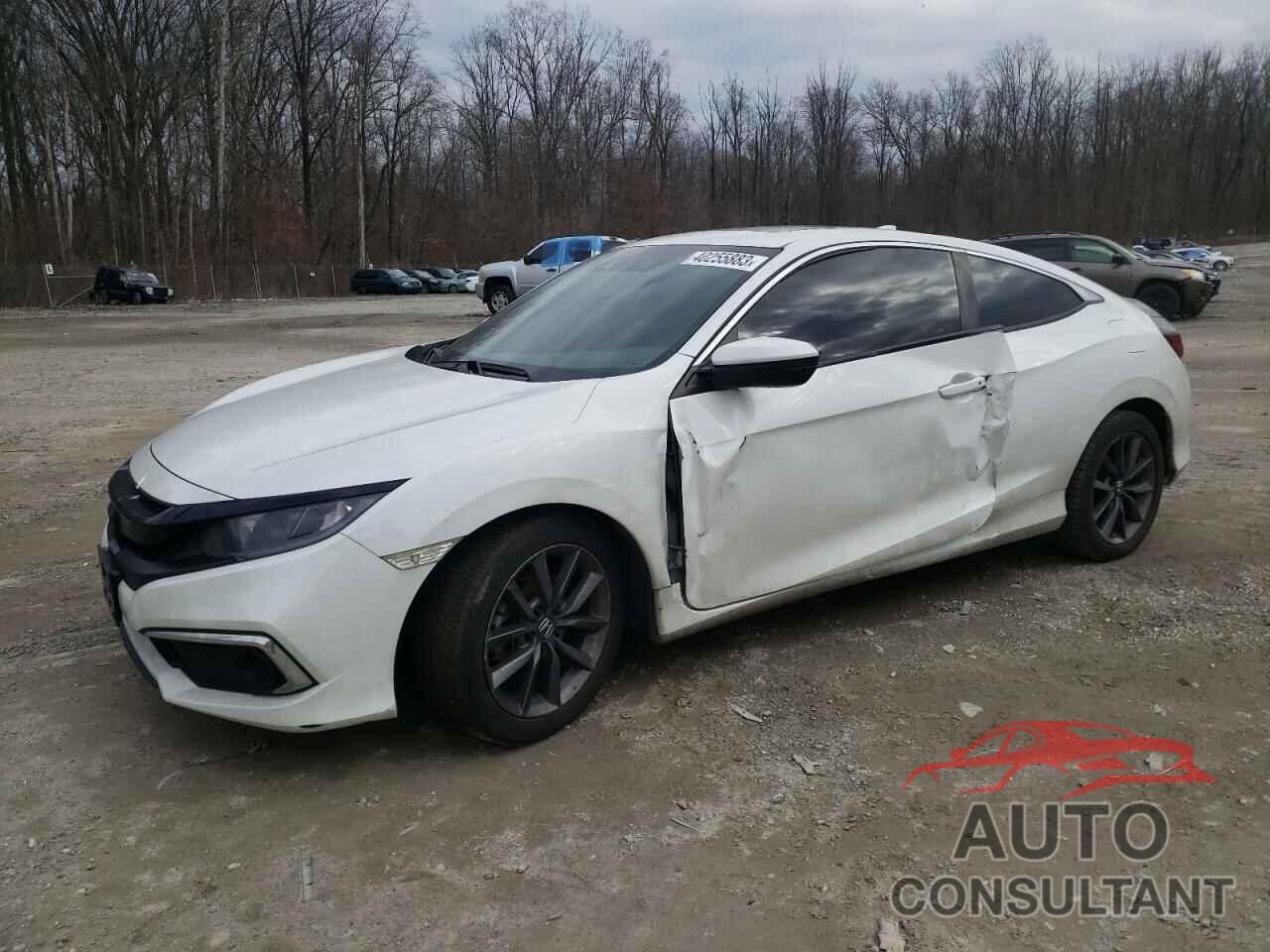 HONDA CIVIC 2019 - 2HGFC3B38KH352124