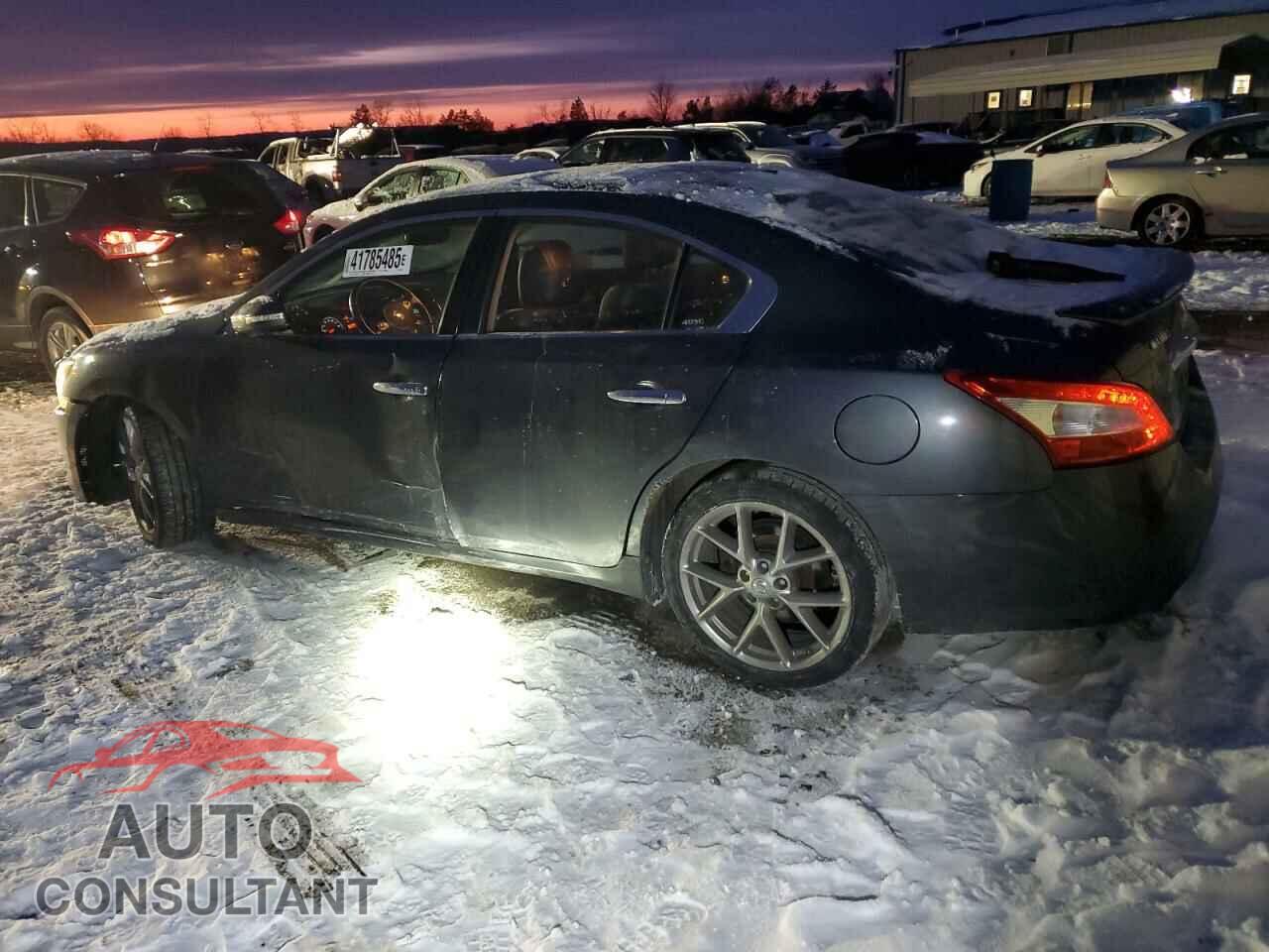 NISSAN MAXIMA 2011 - 1N4AA5AP5BC850594