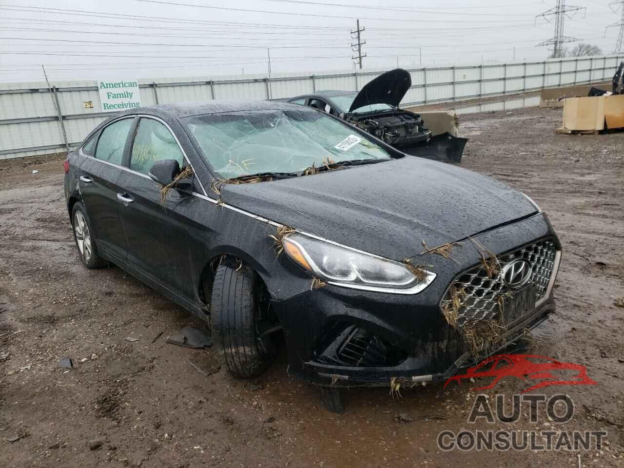 HYUNDAI SONATA 2019 - 5NPE34AFXKH772471