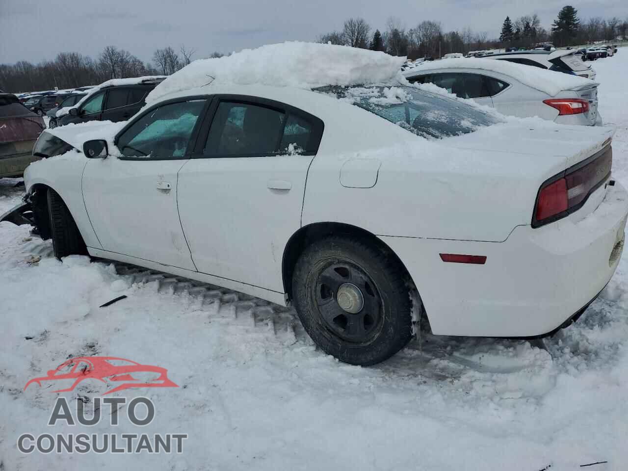 DODGE CHARGER 2014 - 2C3CDXAG6EH162499