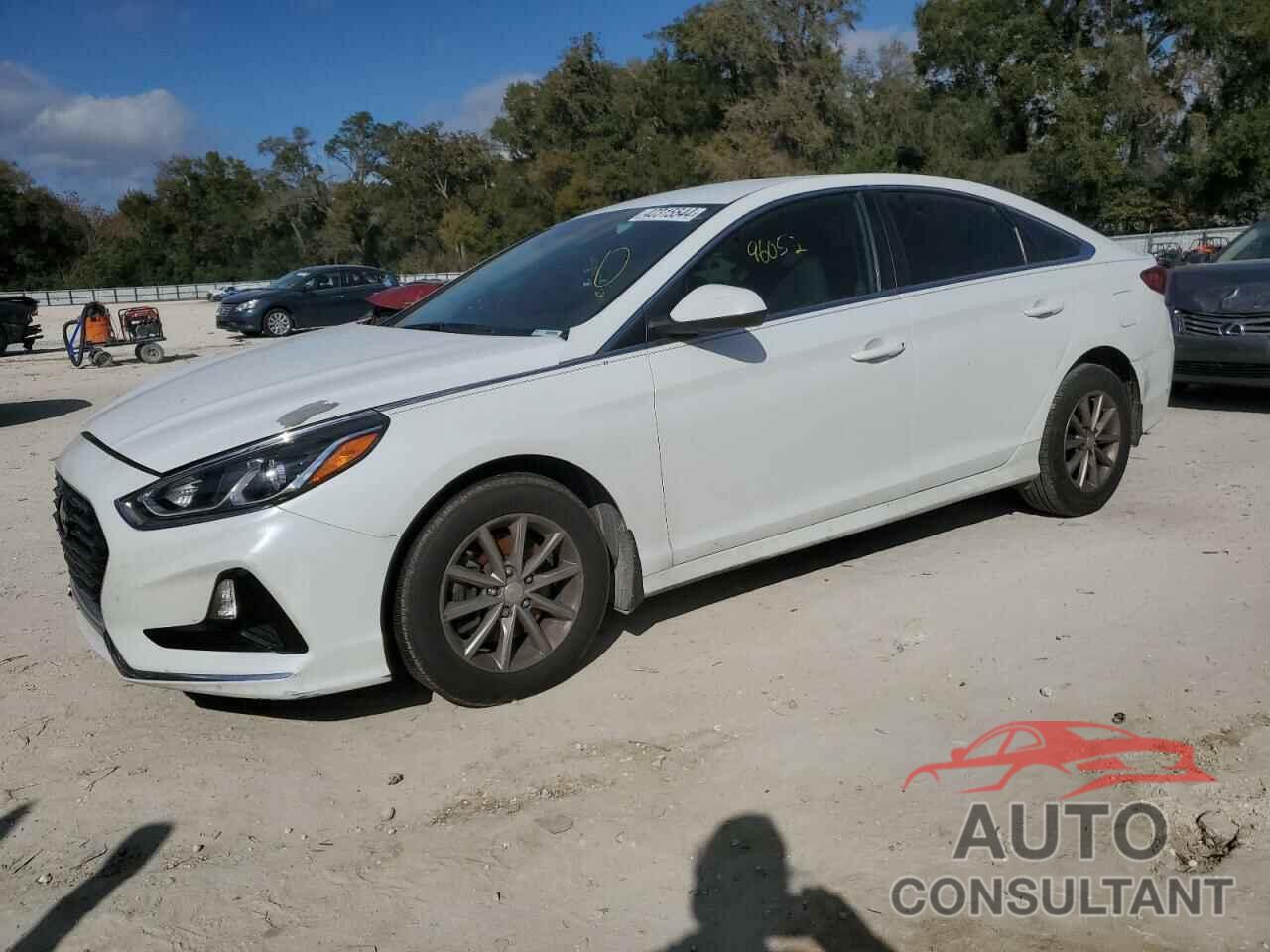 HYUNDAI SONATA 2019 - 5NPE24AF3KH805250