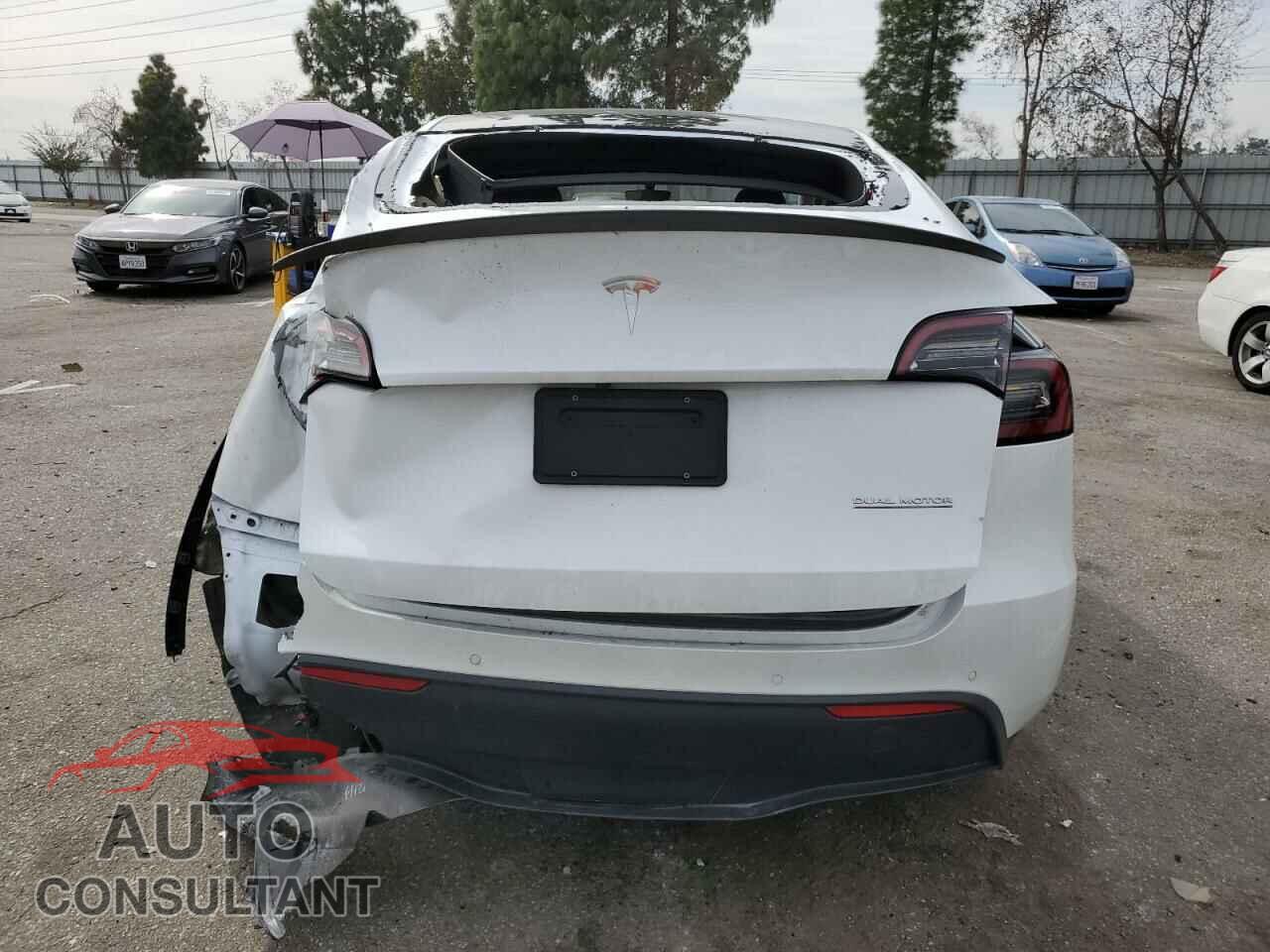 TESLA MODEL Y 2022 - 7SAYGDEF8NF549556