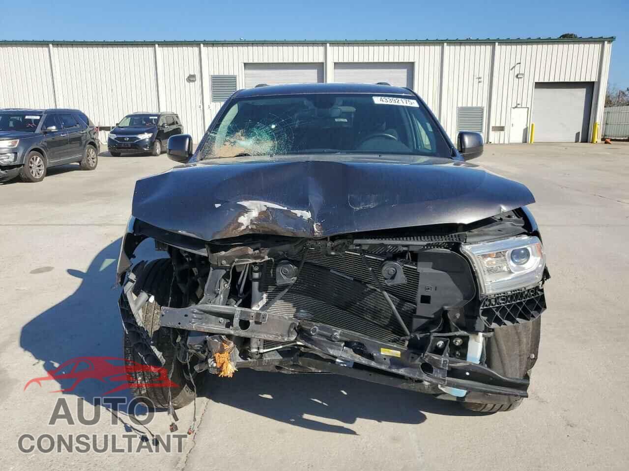 DODGE DURANGO 2019 - 1C4RDJAG2KC803553
