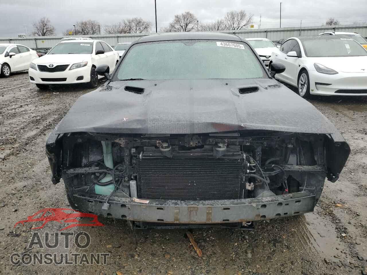 DODGE CHALLENGER 2009 - 2B3LJ74W59H569311