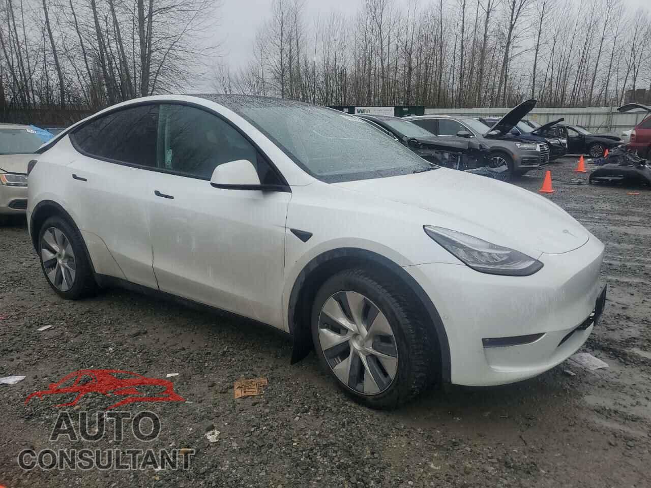 TESLA MODEL Y 2022 - 7SAYGDEE5NF356076