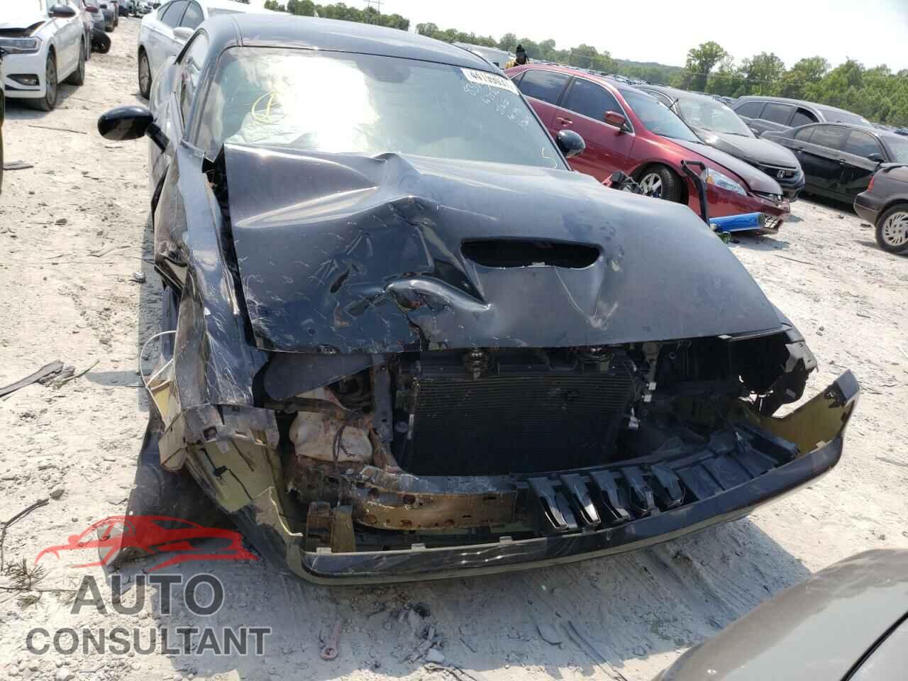DODGE CHALLENGER 2019 - 2C3CDZJG9KH557526