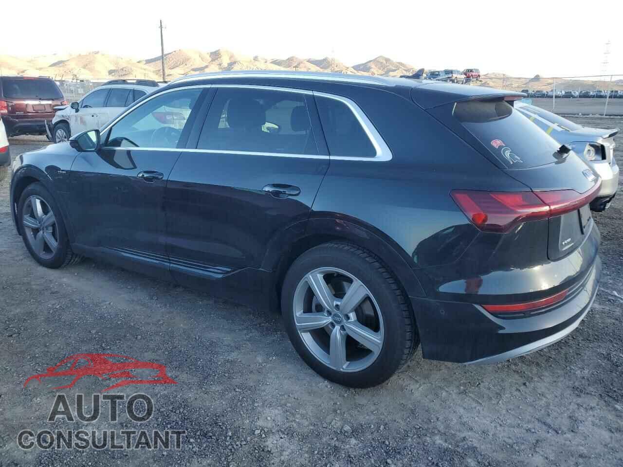 AUDI E-TRON 2019 - WA1LABGE3KB022227