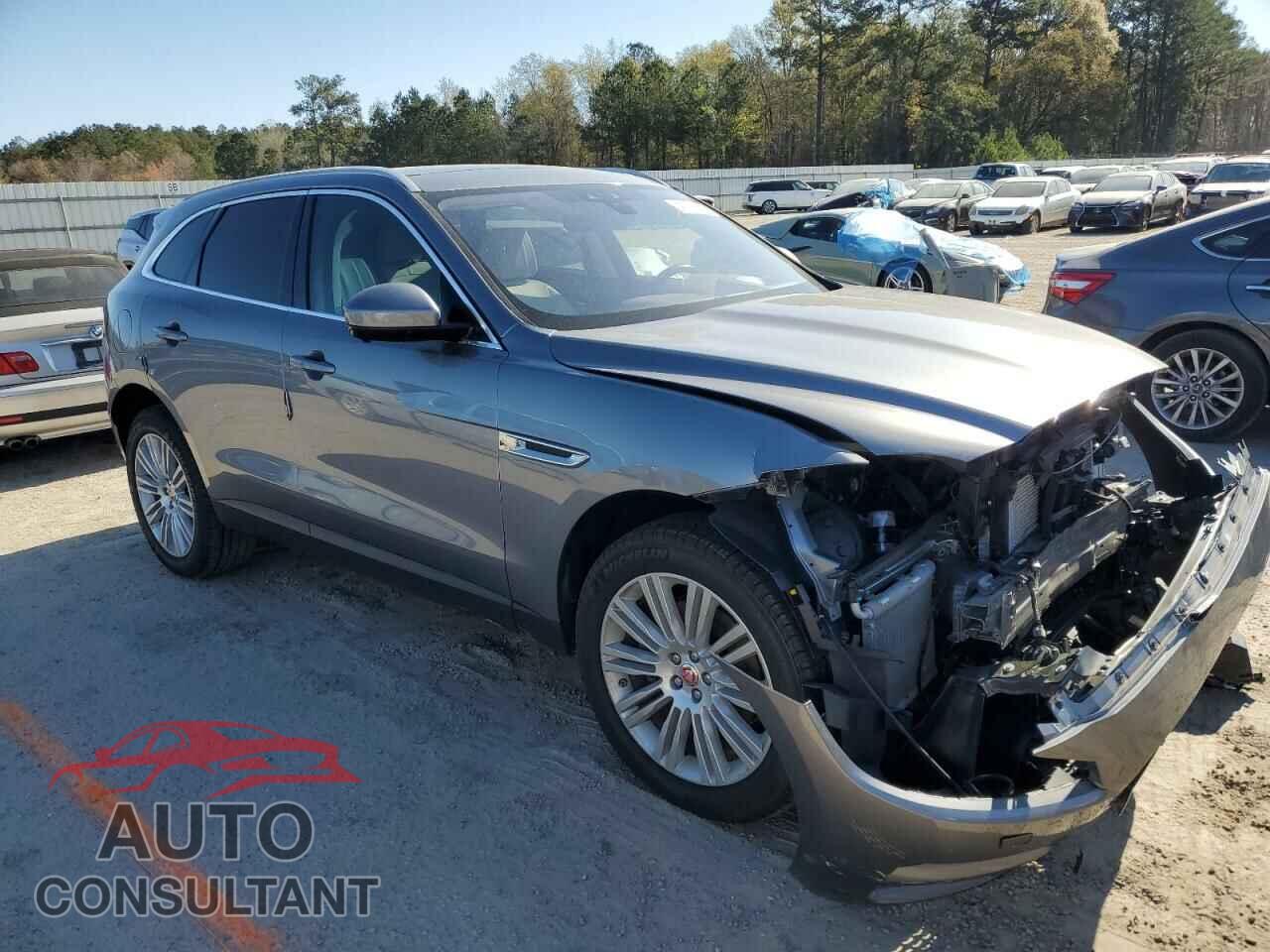 JAGUAR F-PACE 2020 - SADCN2GX2LA632014