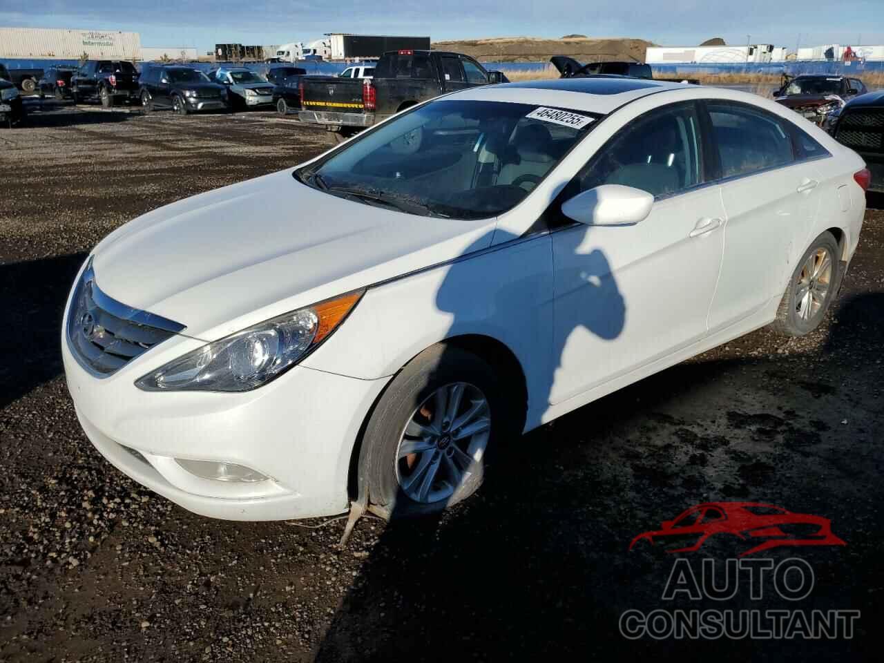 HYUNDAI SONATA 2013 - 5NPEB4AC0DH509711
