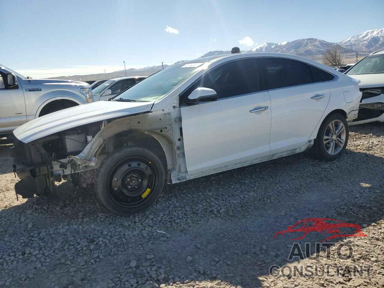 HYUNDAI SONATA 2019 - 5NPE34AF6KH800041