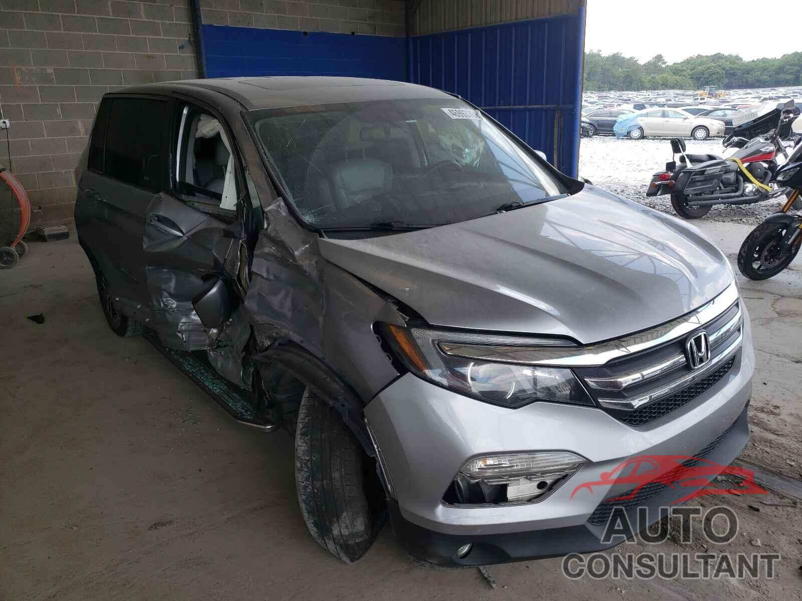 HONDA PILOT 2016 - 5FNYF5H81GB039331