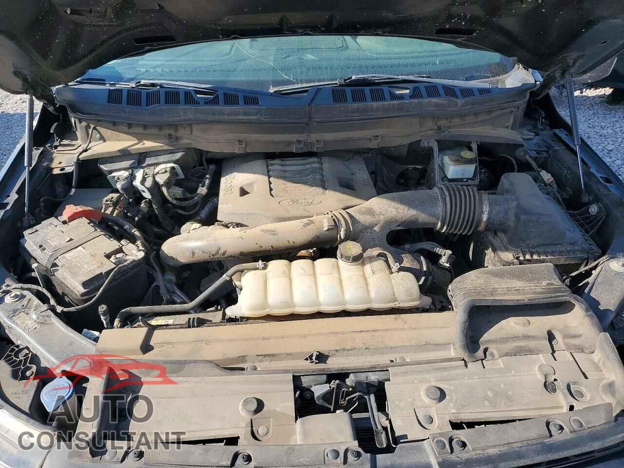 FORD F150 2021 - 1FTEW1E86MFC86237
