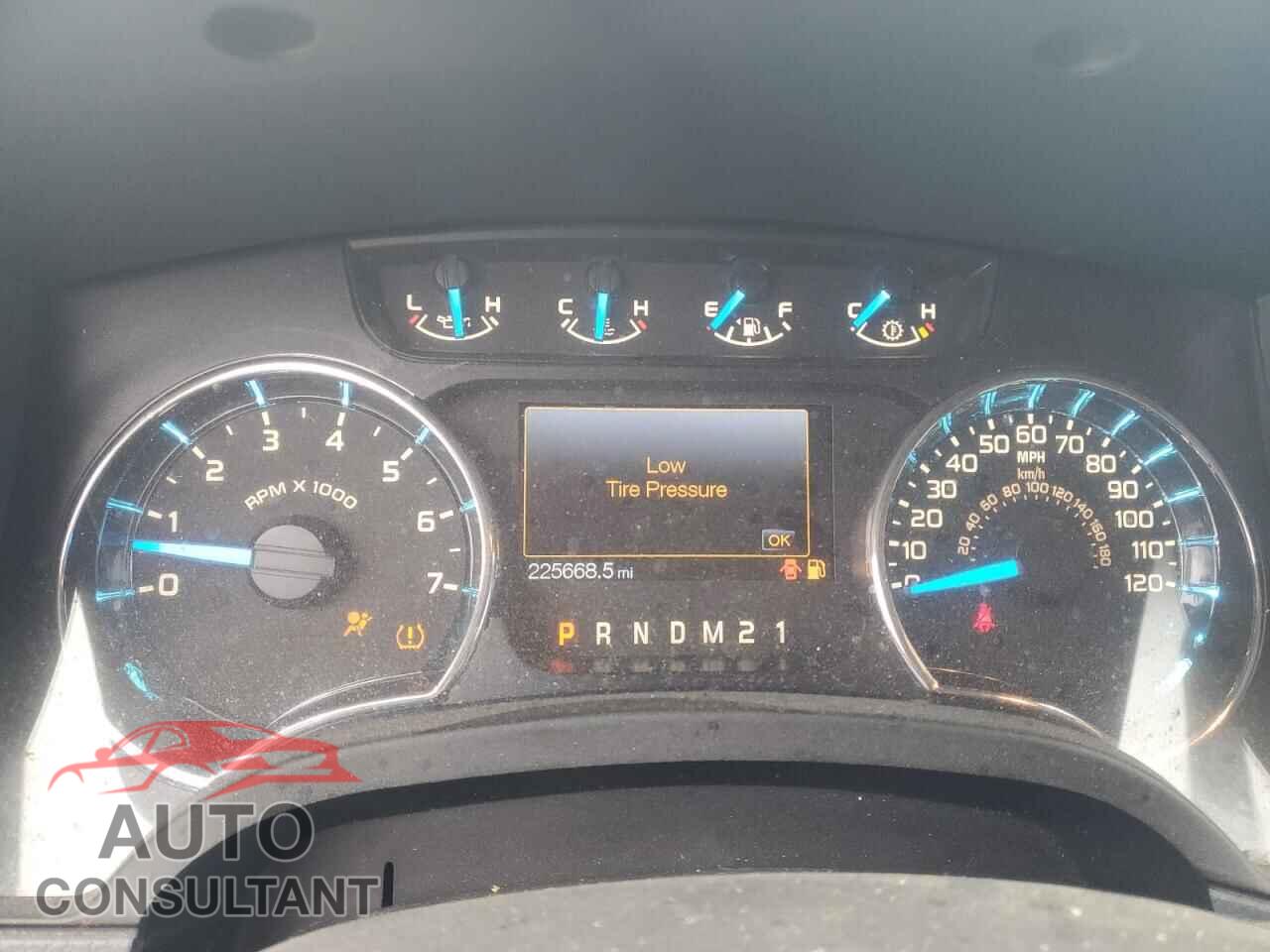 FORD F-150 2013 - 1FTFX1EF8DKF64465