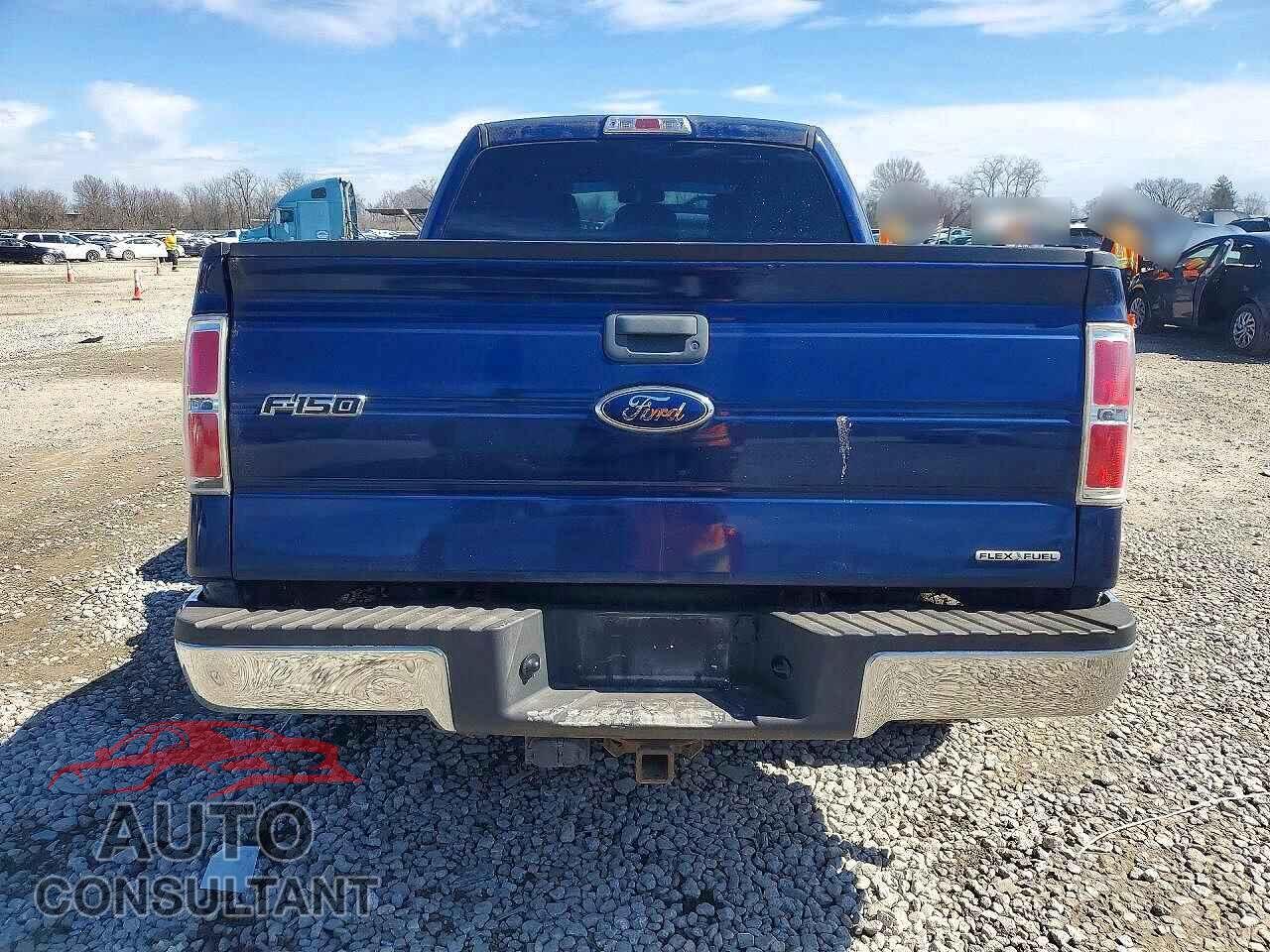 FORD F150 2011 - 1FTFX1EF9BFA25746