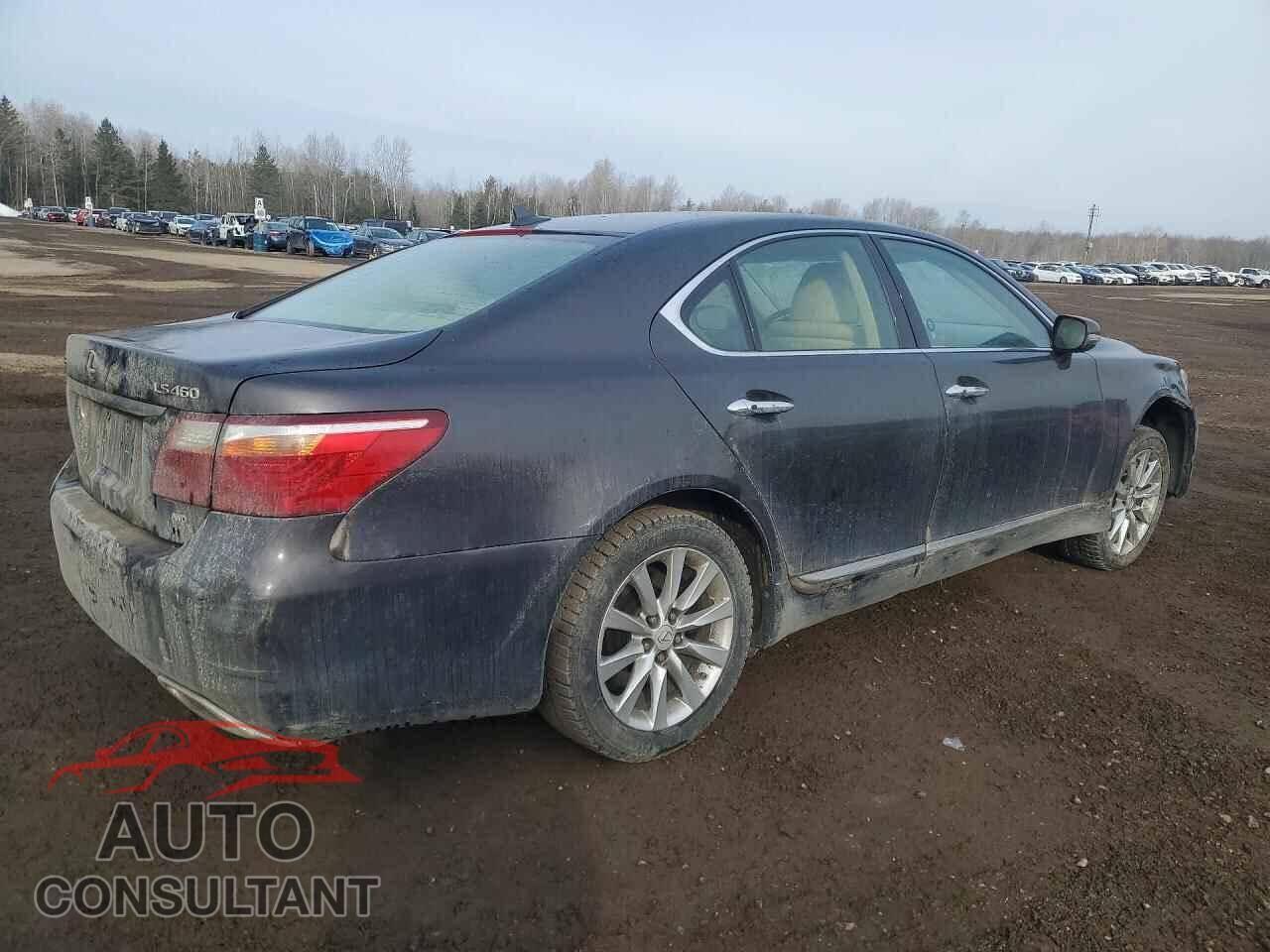 LEXUS LS500 2010 - JTHCL5EF0A5005958