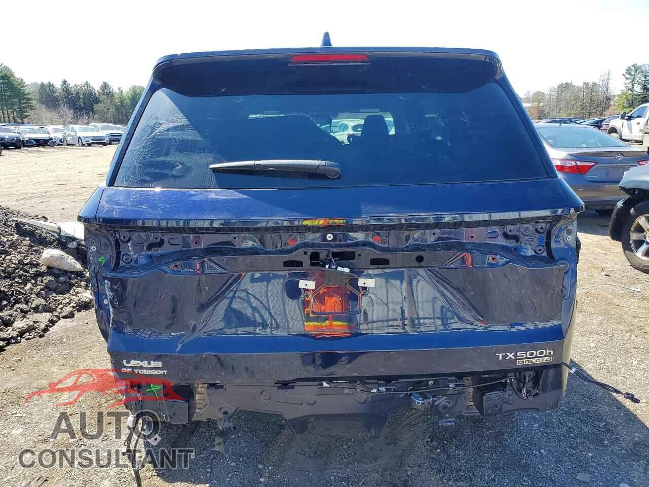 LEXUS UNKNOWN 2025 - 5TDABAB62SS016075