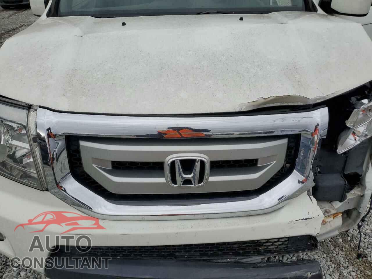 HONDA PILOT 2011 - 5FNYF3H77BB005236