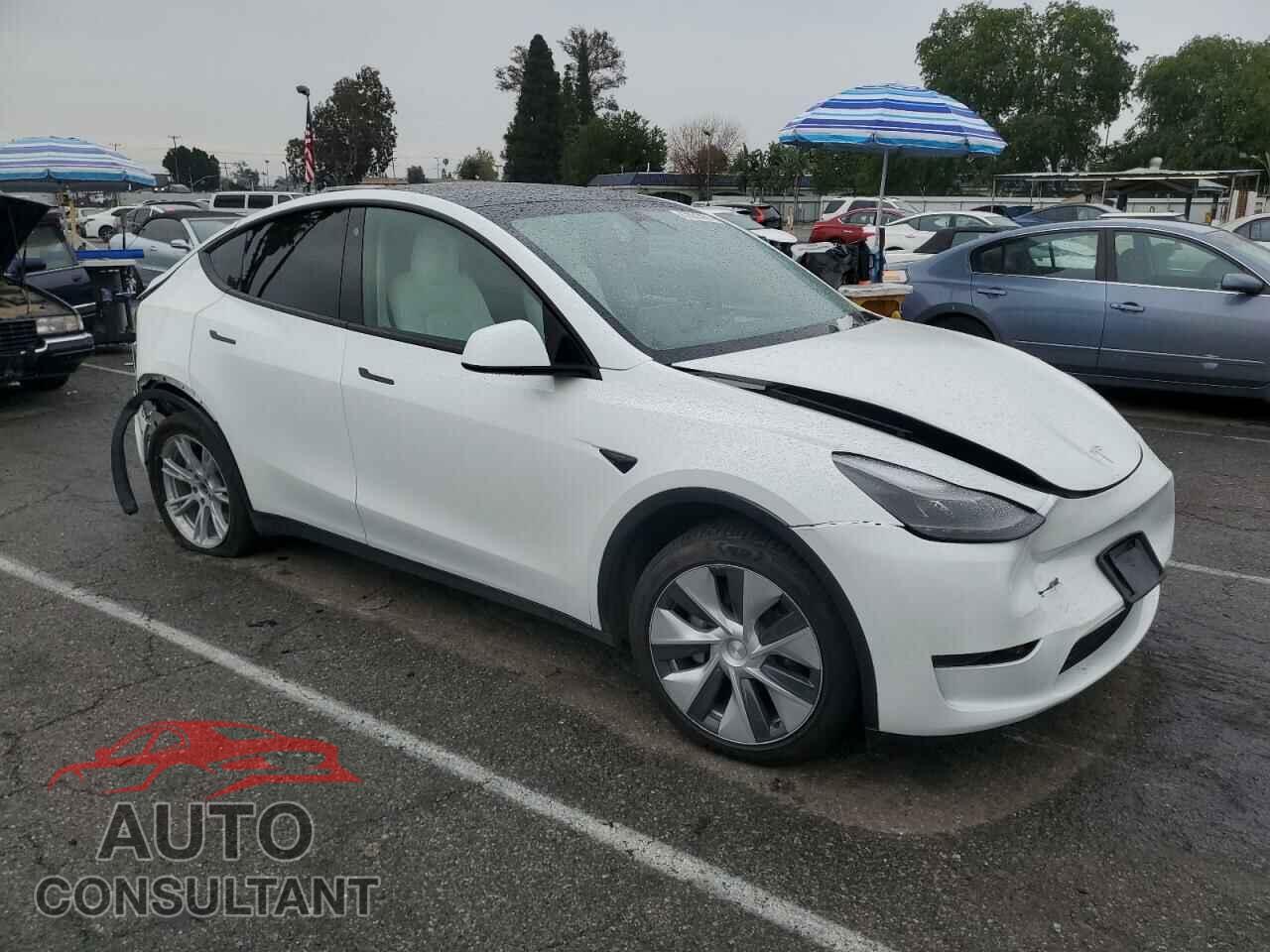 TESLA MODEL Y 2023 - 7SAYGDEE2PF624598