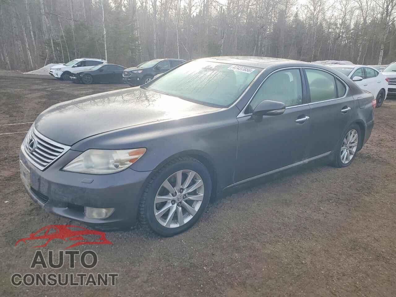 LEXUS LS500 2010 - JTHCL5EF0A5005958