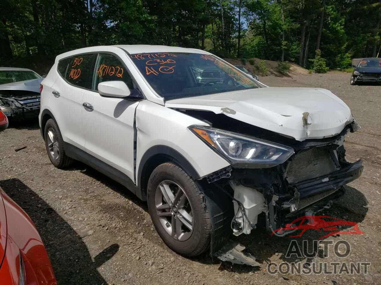 HYUNDAI SANTA FE 2017 - 5NMZTDLB4HH019228