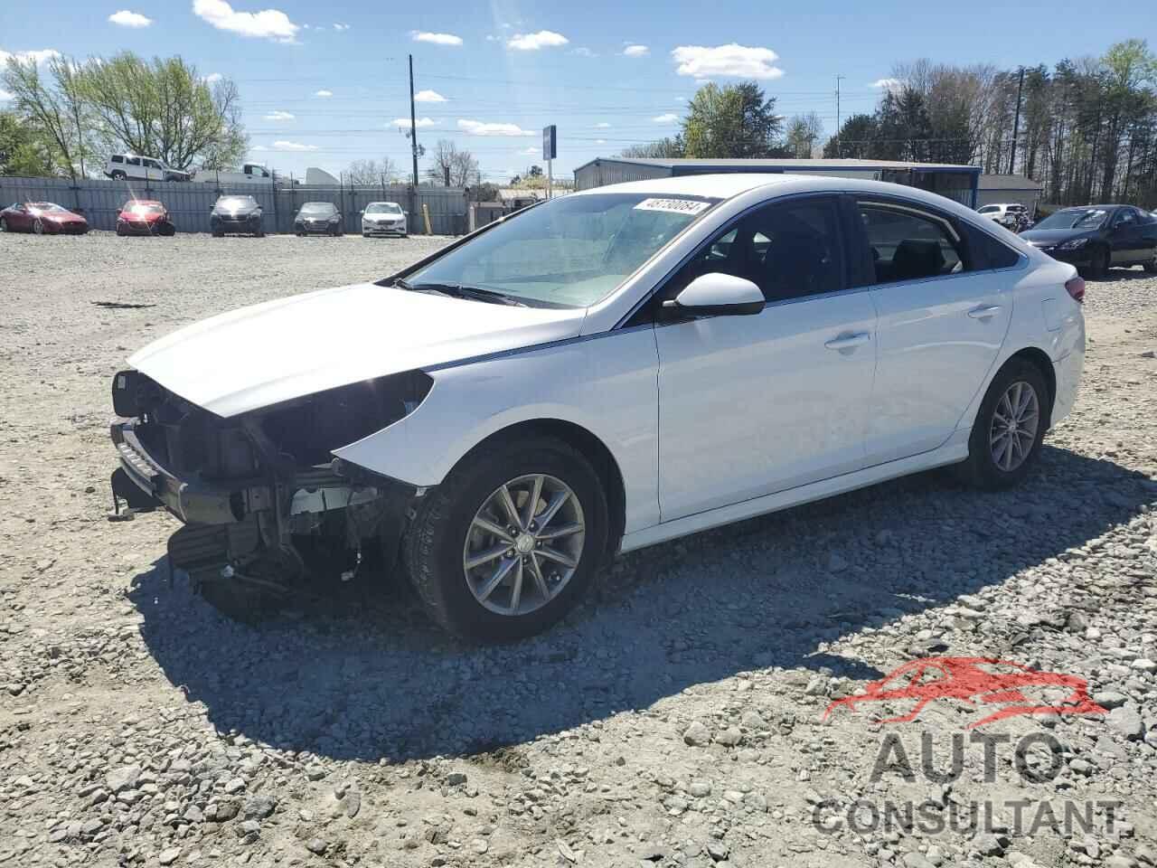 HYUNDAI SONATA 2019 - 5NPE24AF9KH736645