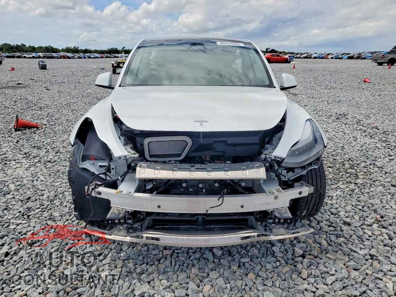 TESLA MODEL Y 2025 - 7SAYGDEE9SA367154