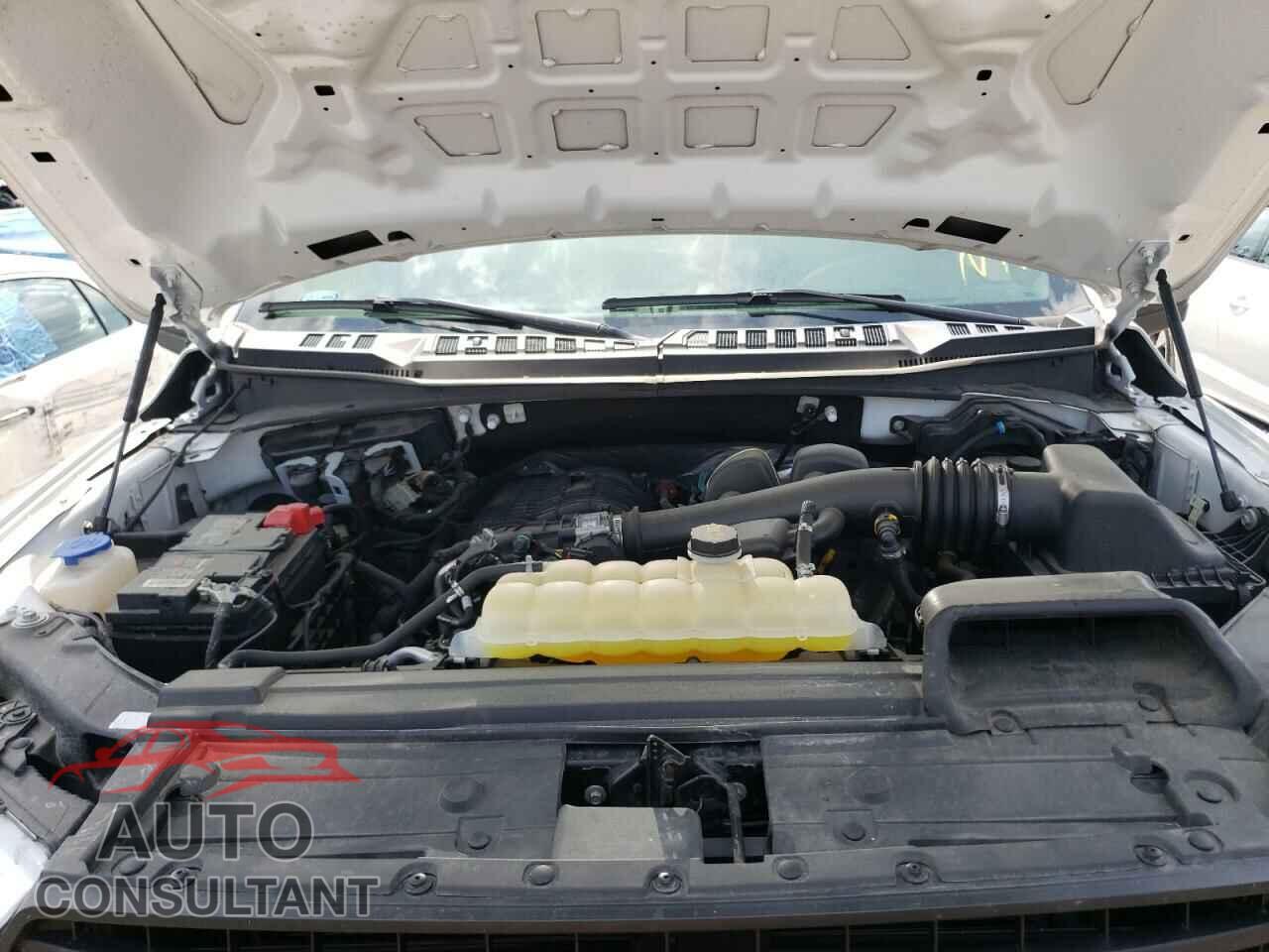 FORD F150 2020 - 1FTMF1EB9LKD30650