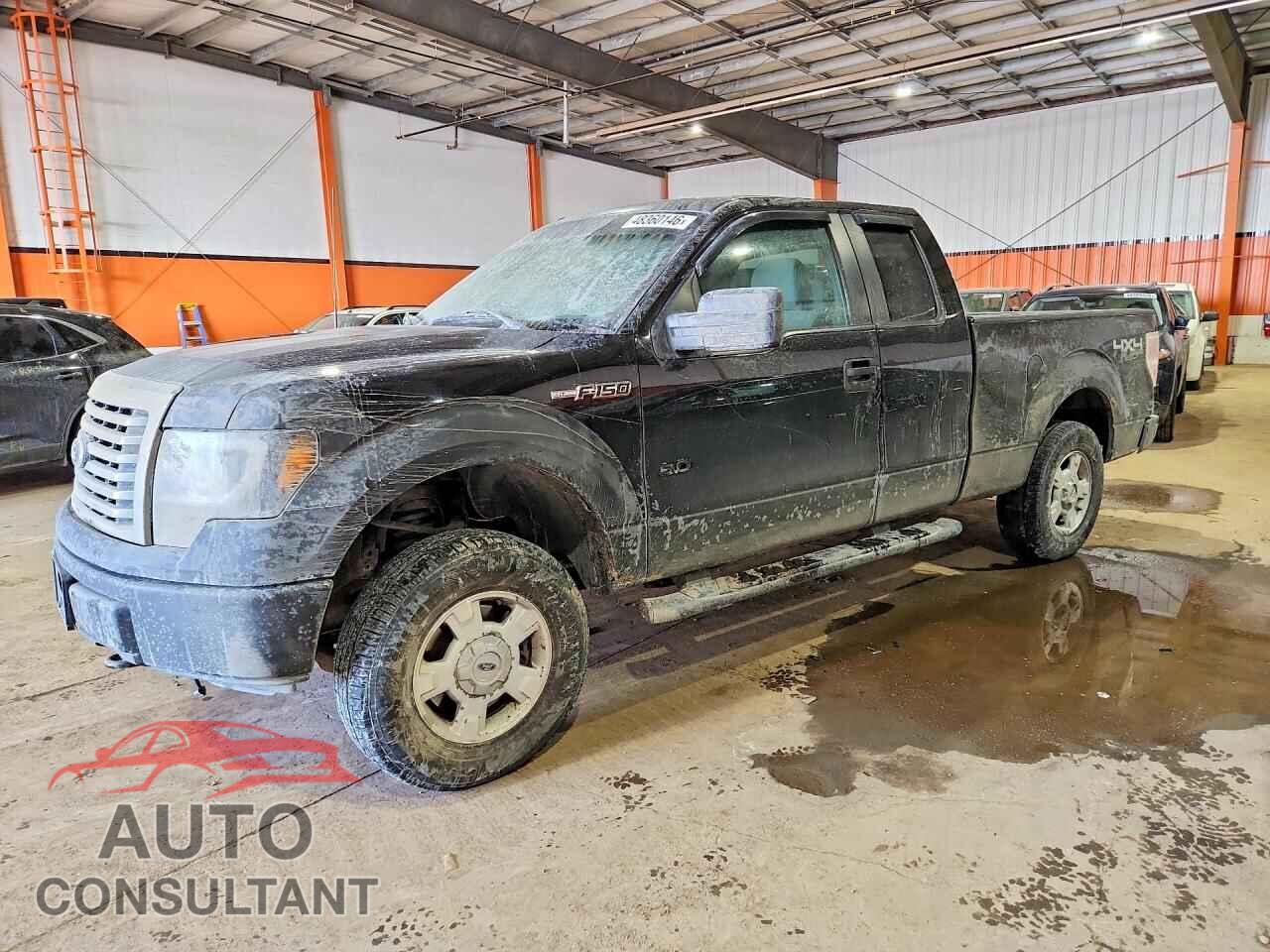 FORD F150 2011 - 1FTFX1EF7BFC21880