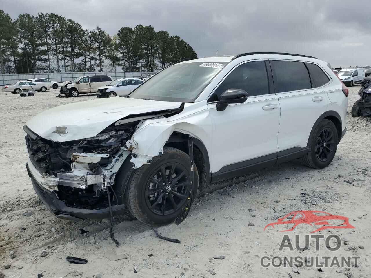 HONDA CRV 2024 - 7FARS5H82RE008290