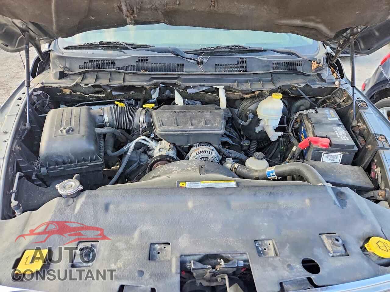 DODGE RAM 1500 2010 - 3D7JV1EP5AG116136