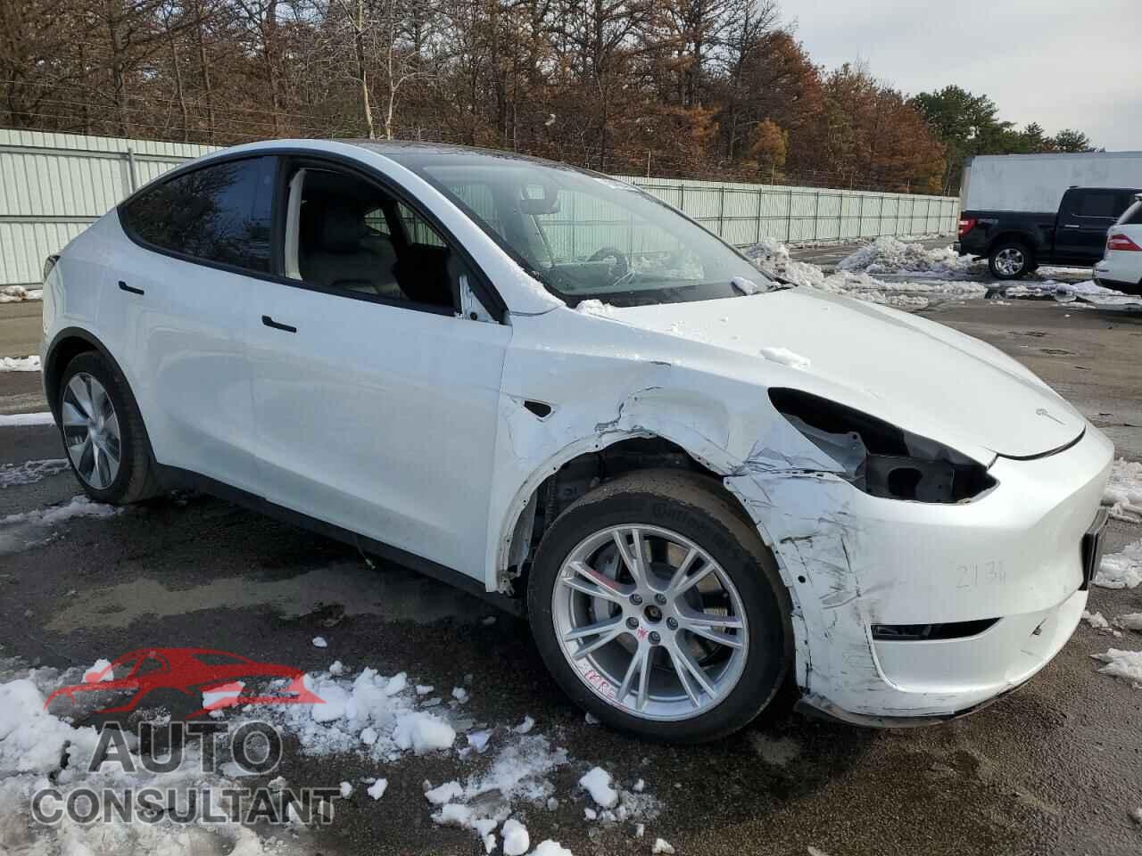 TESLA MODEL Y 2022 - 7SAYGAEE5NF338711