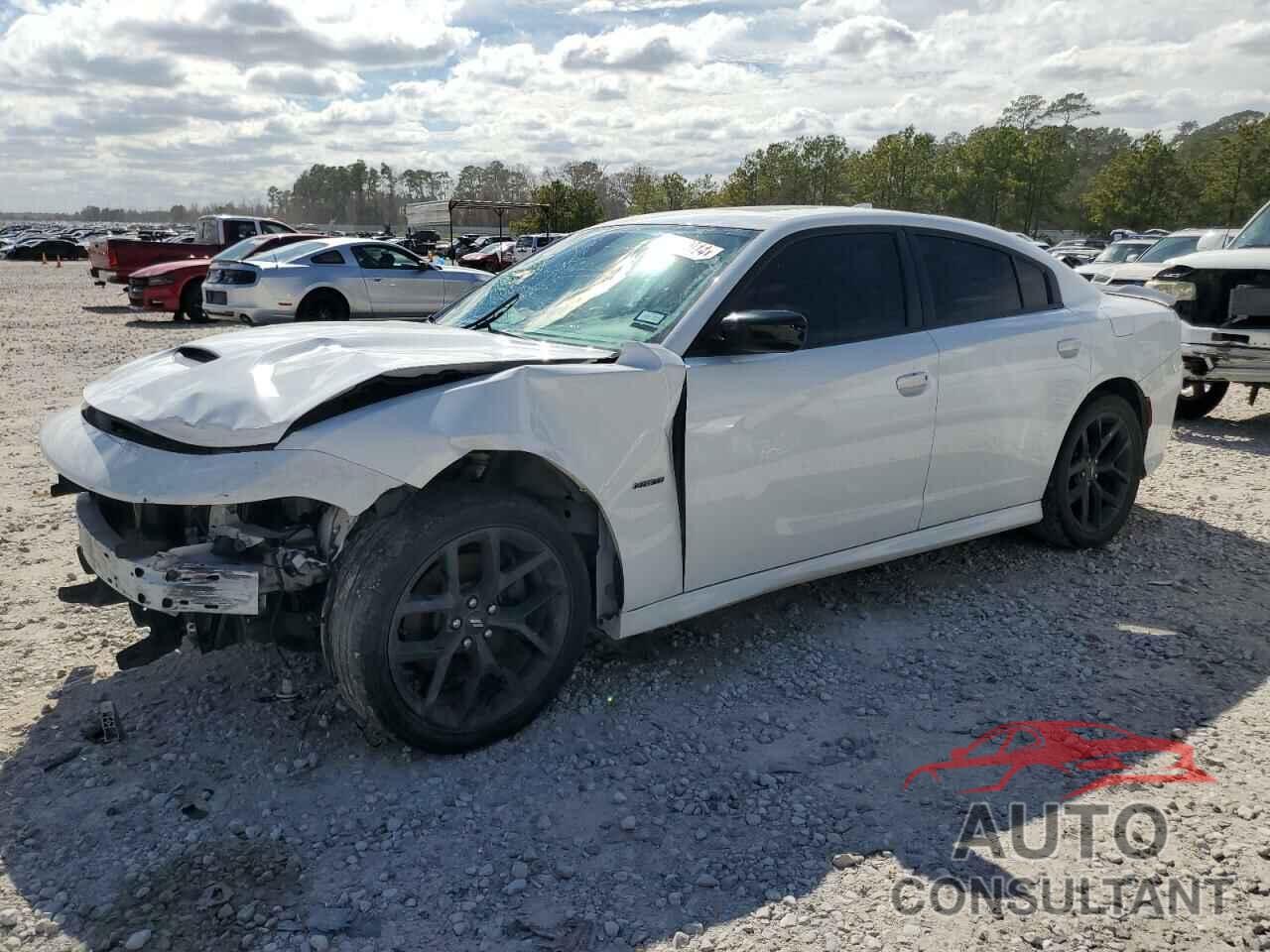 DODGE CHARGER 2019 - 2C3CDXCT0KH599789