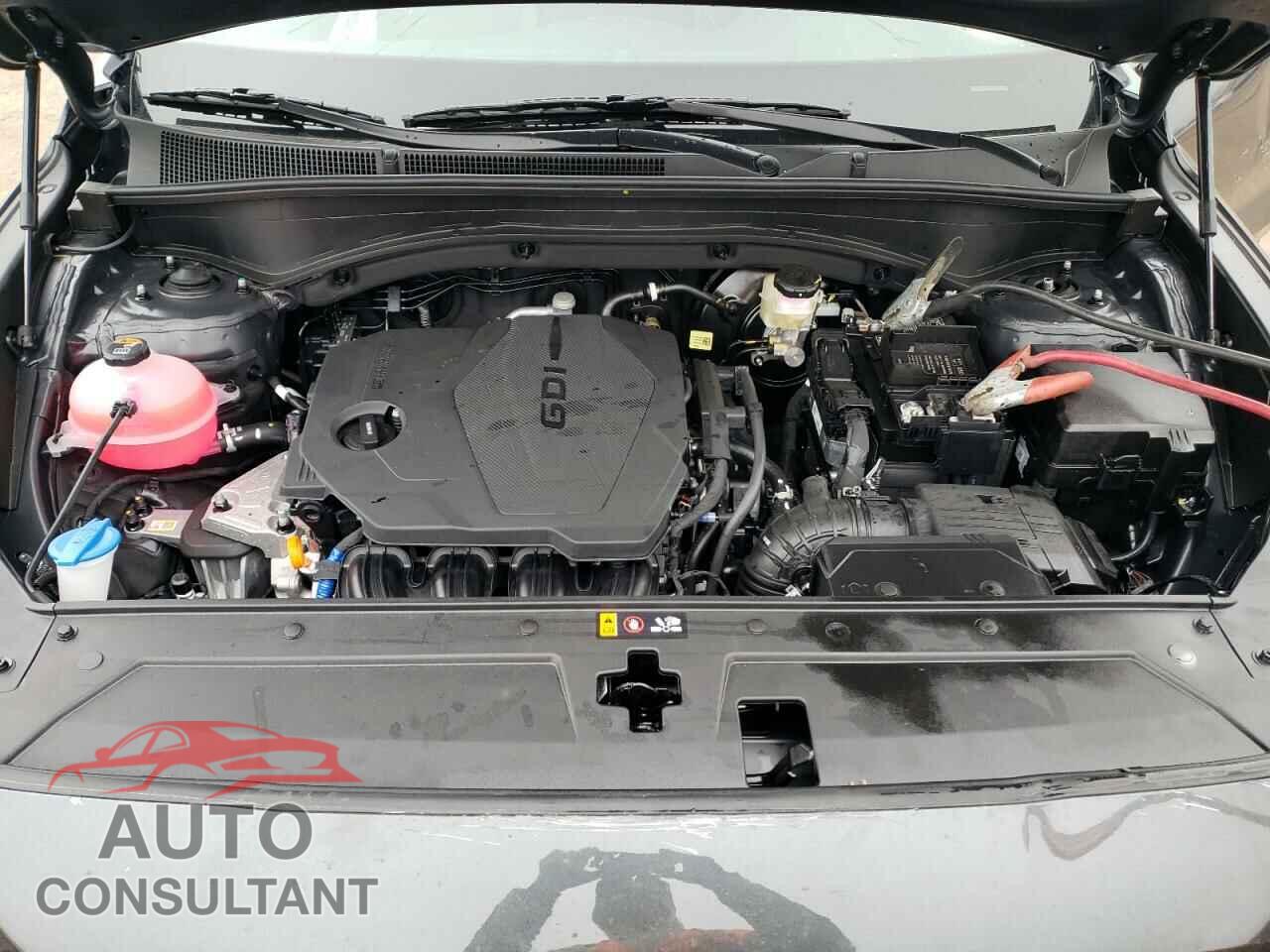 HYUNDAI SANTA FE 2023 - 5NMS14AJ3PH651234