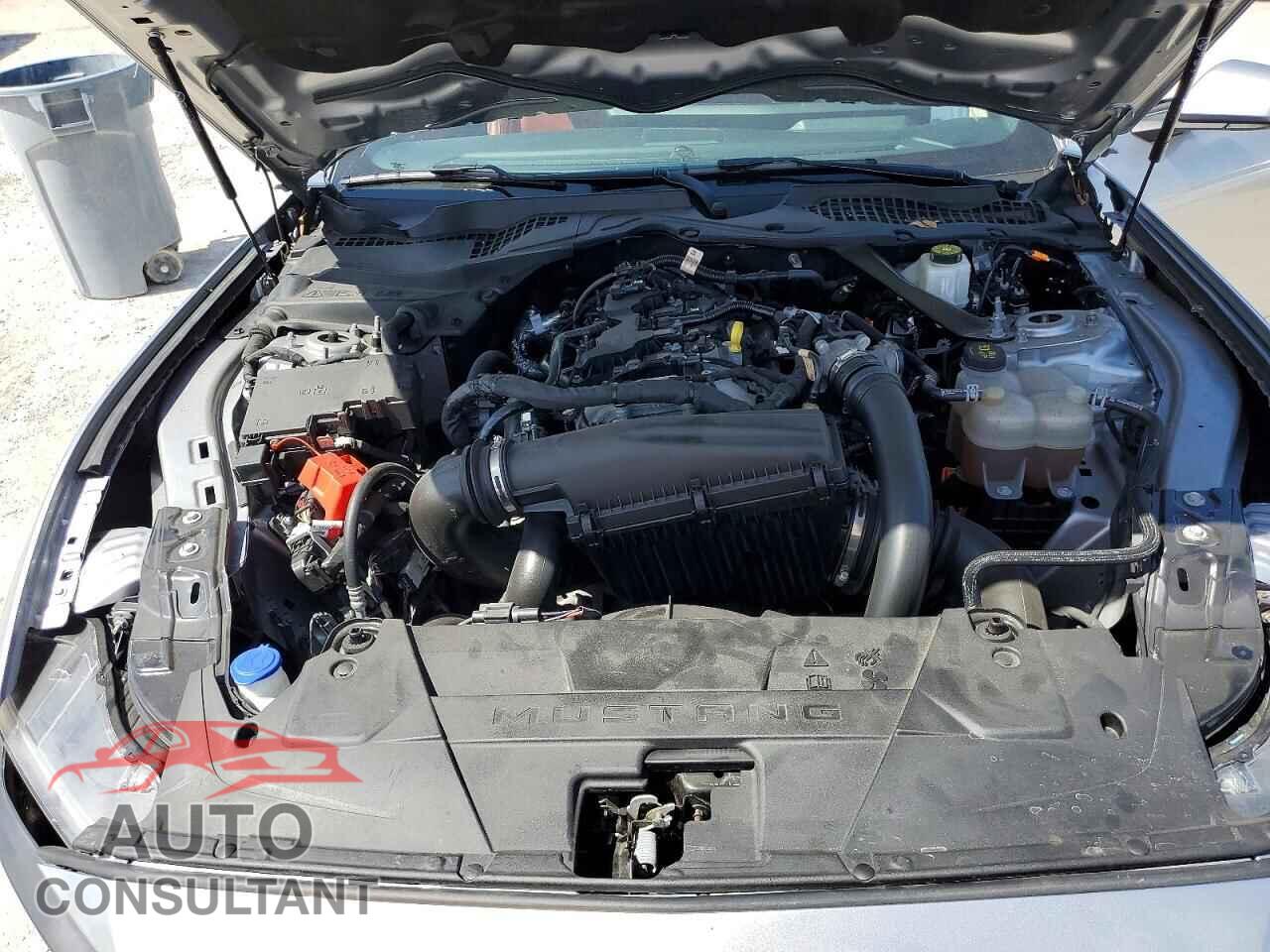 FORD MUSTANG 2024 - 1FAGP8UH1R5120548