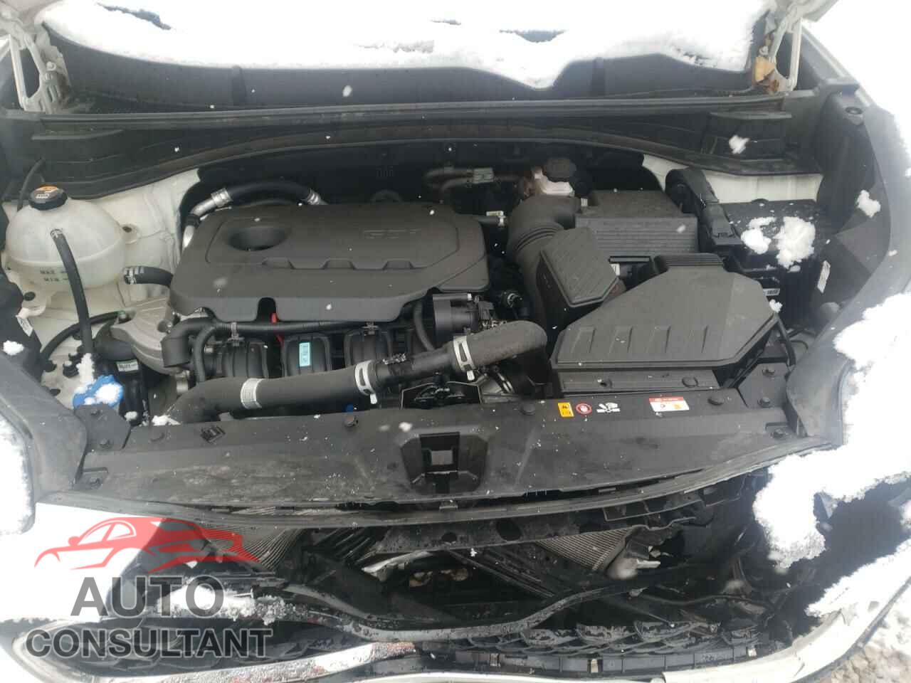 KIA SPORTAGE 2020 - KNDPMCAC3L7635299