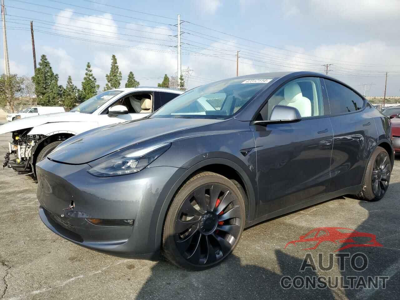 TESLA MODEL Y 2023 - 7SAYGDEF9PF904754