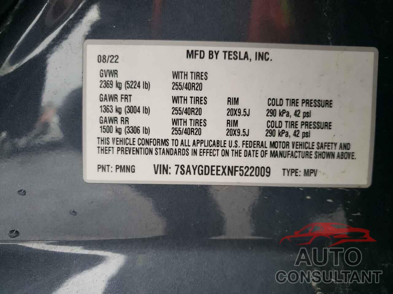 TESLA MODEL Y 2022 - 7SAYGDEEXNF522009
