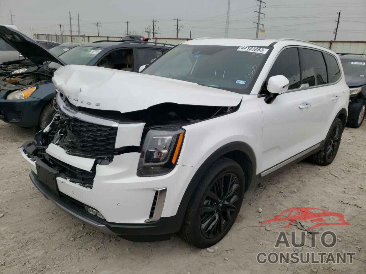 KIA TELLURIDE 2022 - 5XYP5DHC5NG307770