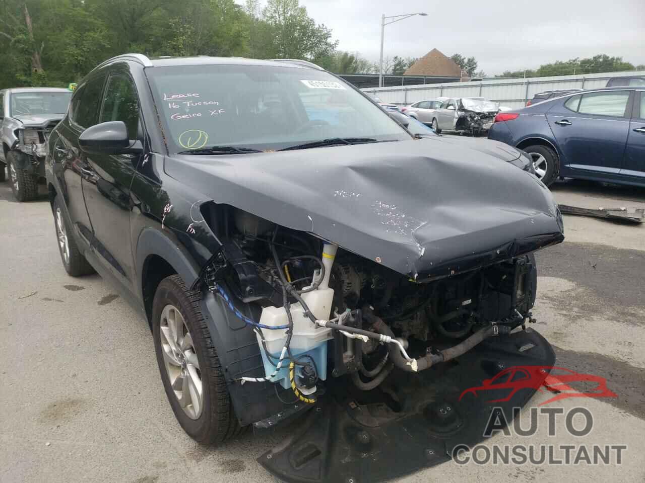 HYUNDAI TUCSON 2016 - KM8J33A40GU240372