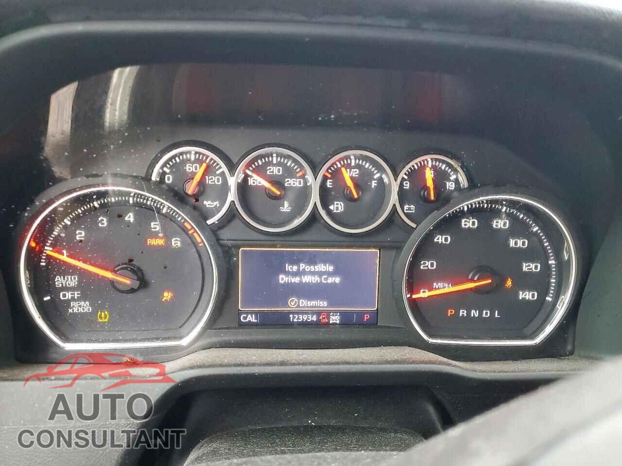 CHEVROLET SILVERADO 2019 - 1GCPYFED7KZ100892