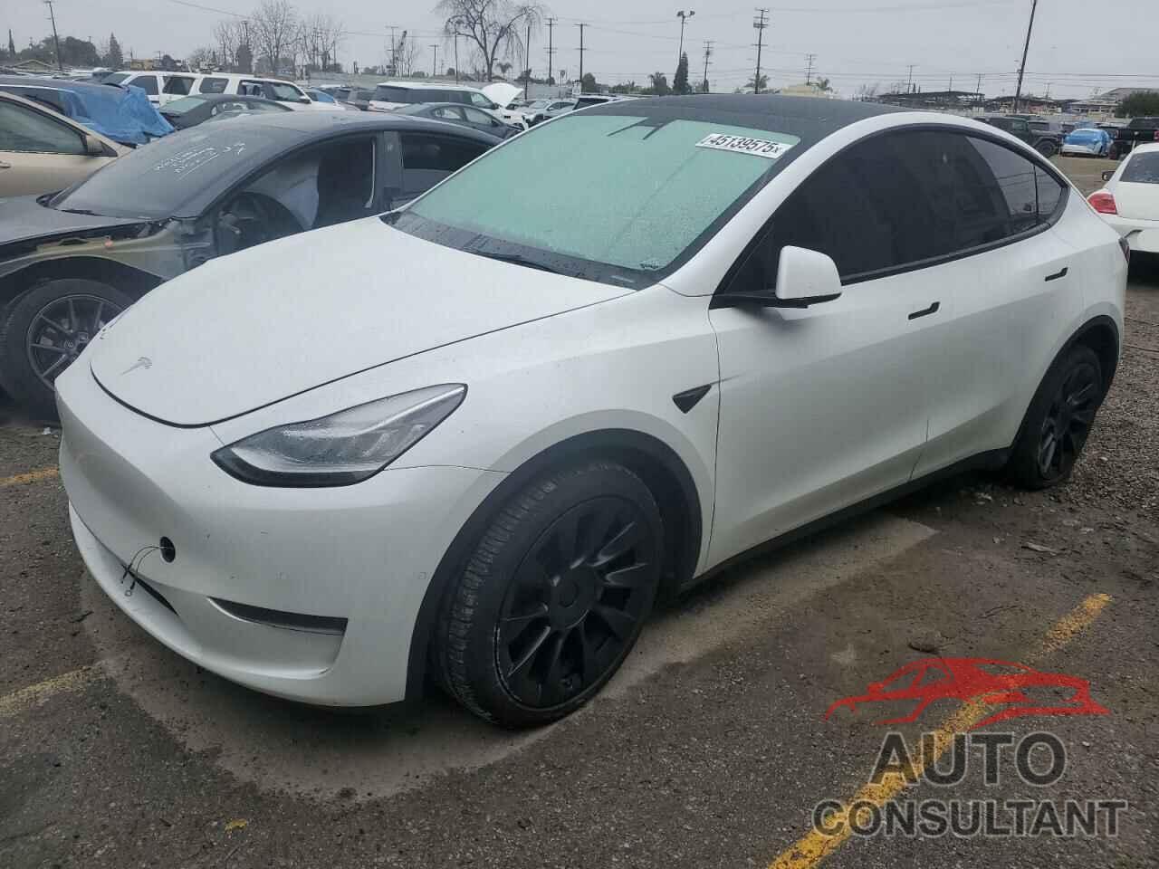 TESLA MODEL Y 2021 - 5YJYGDEE5MF249167
