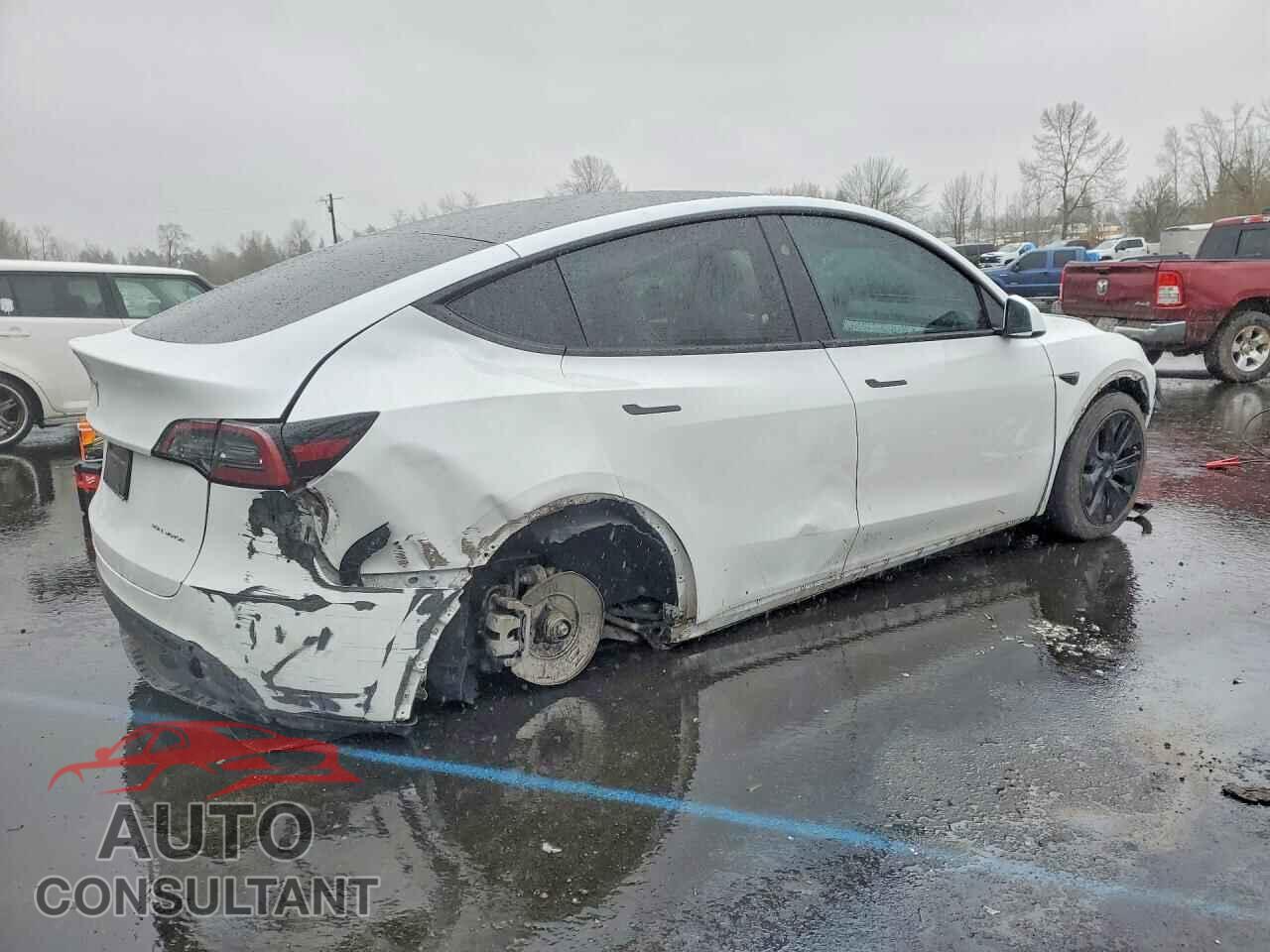 TESLA MODEL Y 2024 - 7SAYGAEE4RF124542
