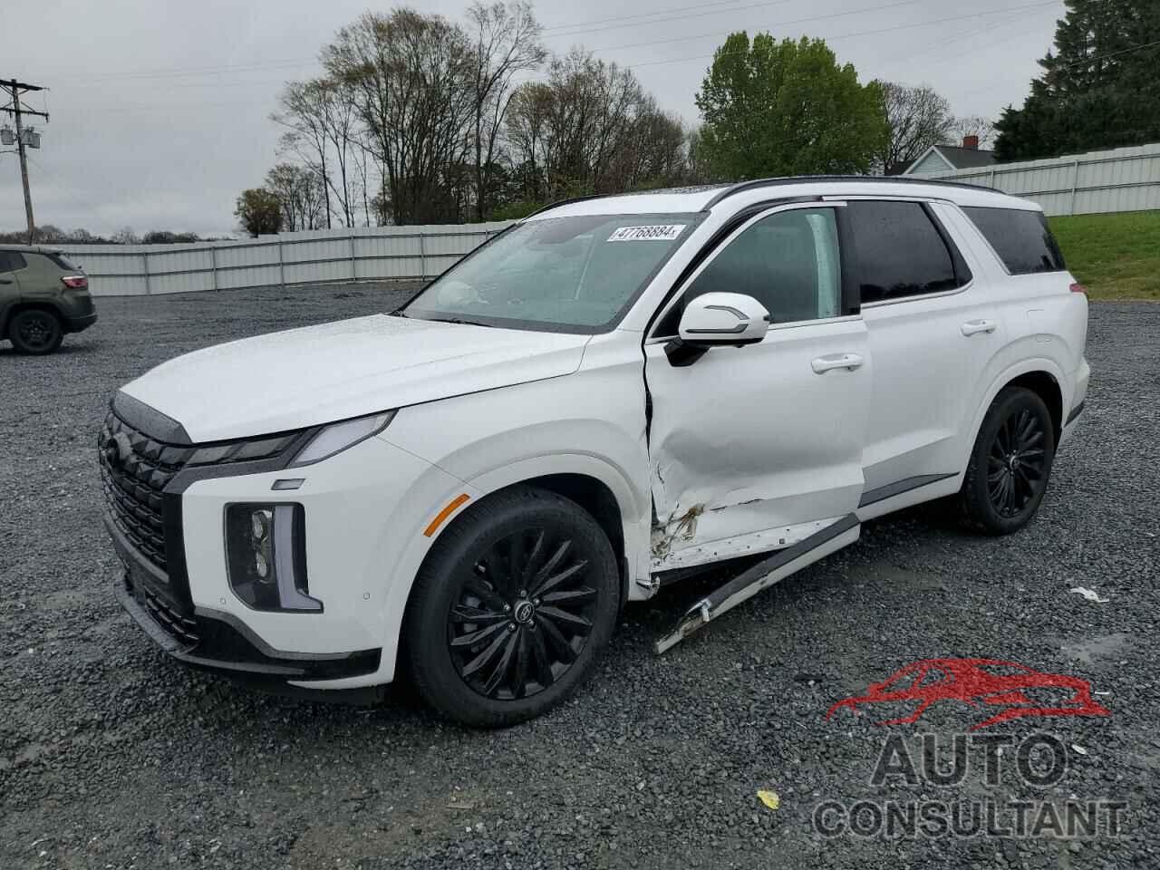 HYUNDAI PALISADE 2024 - KM8R7DGE2RU666919