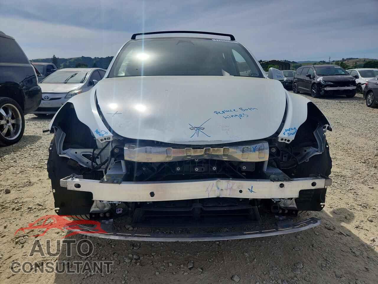 TESLA MODEL Y 2023 - 7SAYGDEE2PF600897