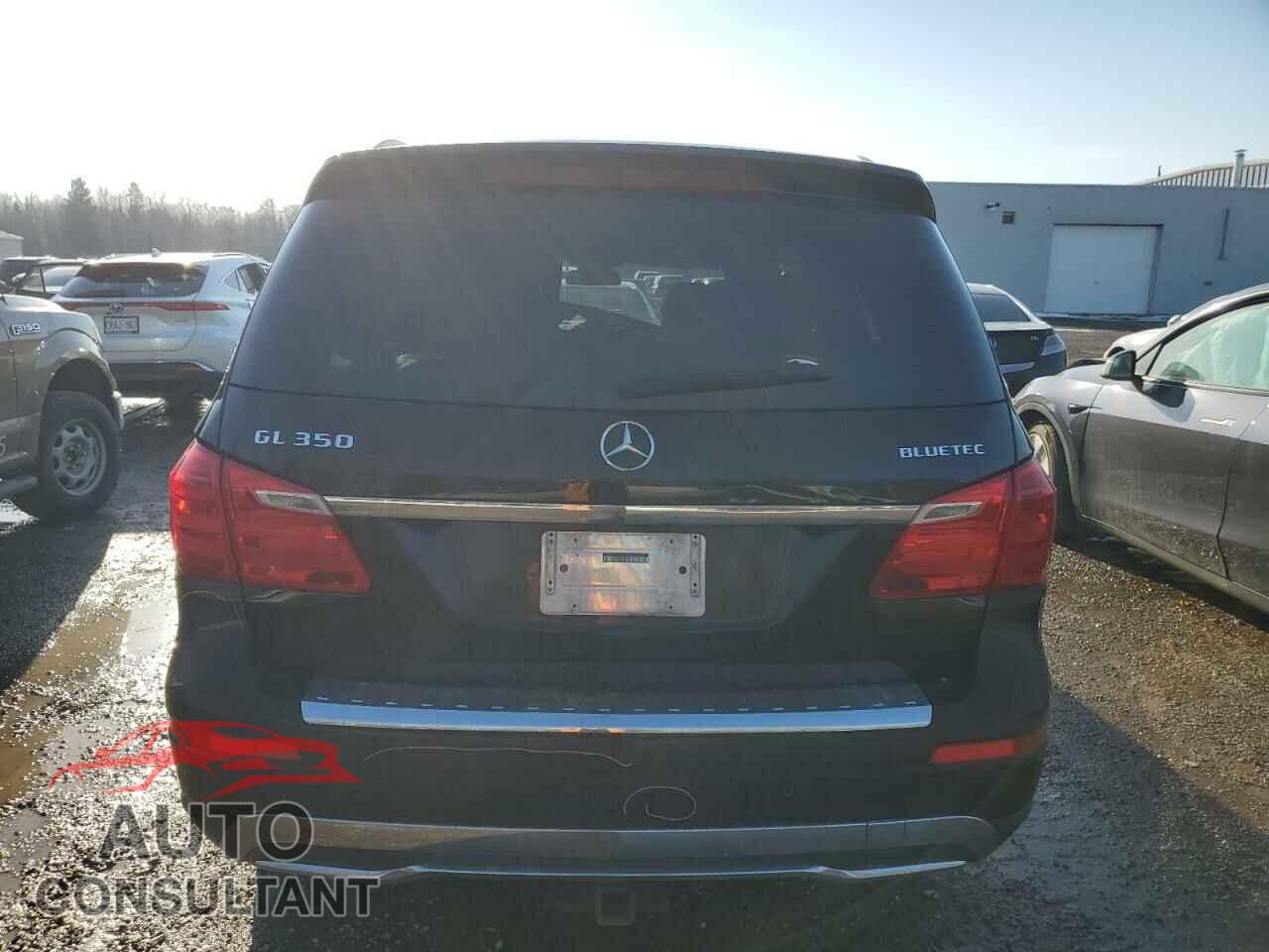 MERCEDES-BENZ GL-CLASS 2013 - 4JGDF2EE1DA133331
