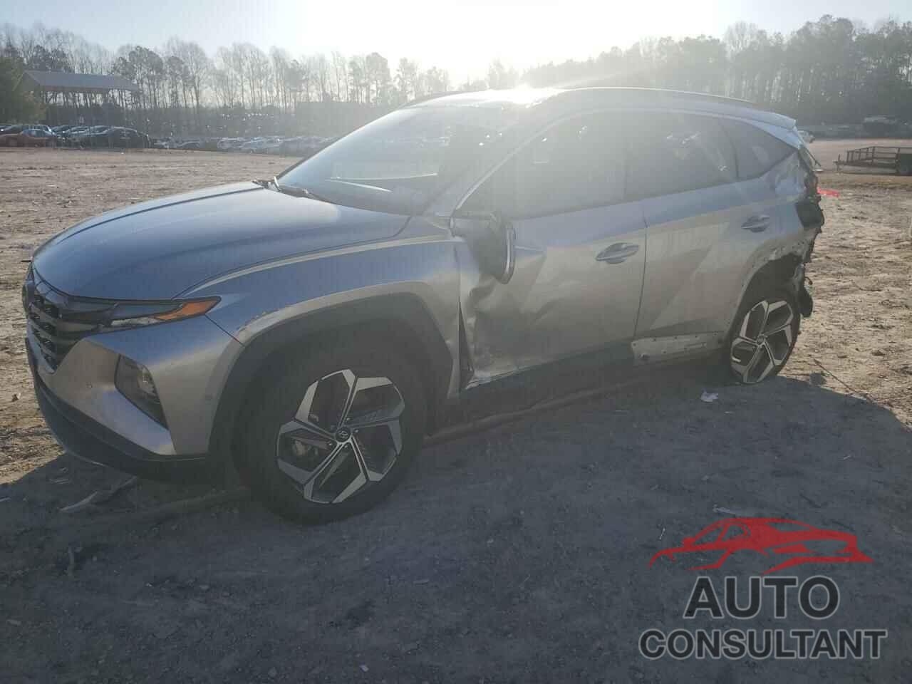 HYUNDAI TUCSON 2024 - 5NMJECDE1RH295202