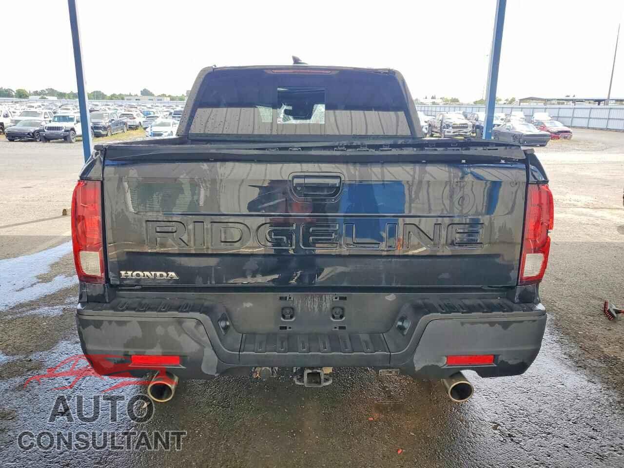 HONDA RIDGELINE 2025 - 5FPYK3F54SB036741
