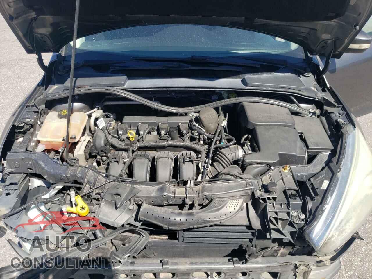 FORD FOCUS 2016 - 1FADP3F28GL261060