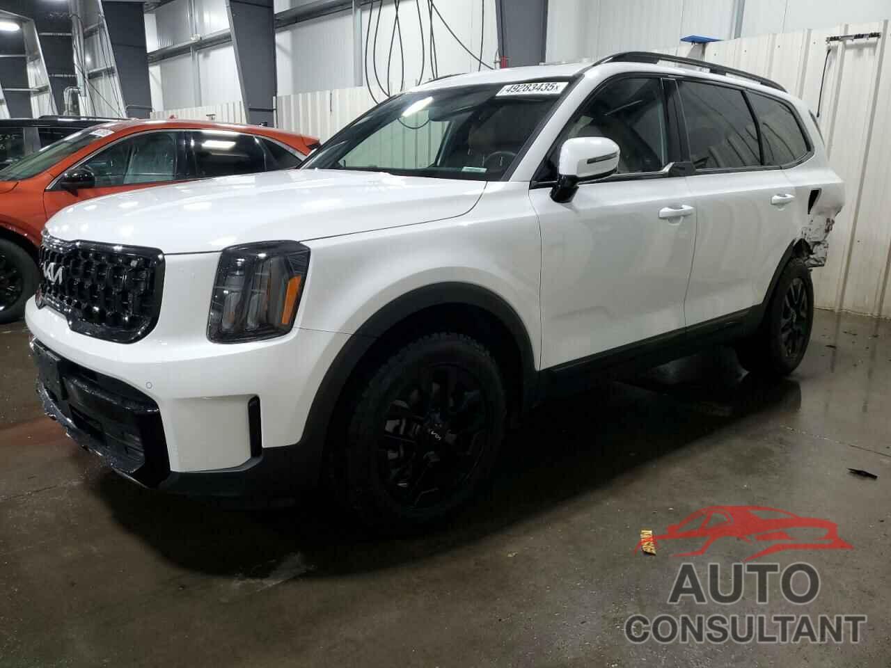 KIA TELLURIDE 2024 - 5XYP5DGC9RG436344