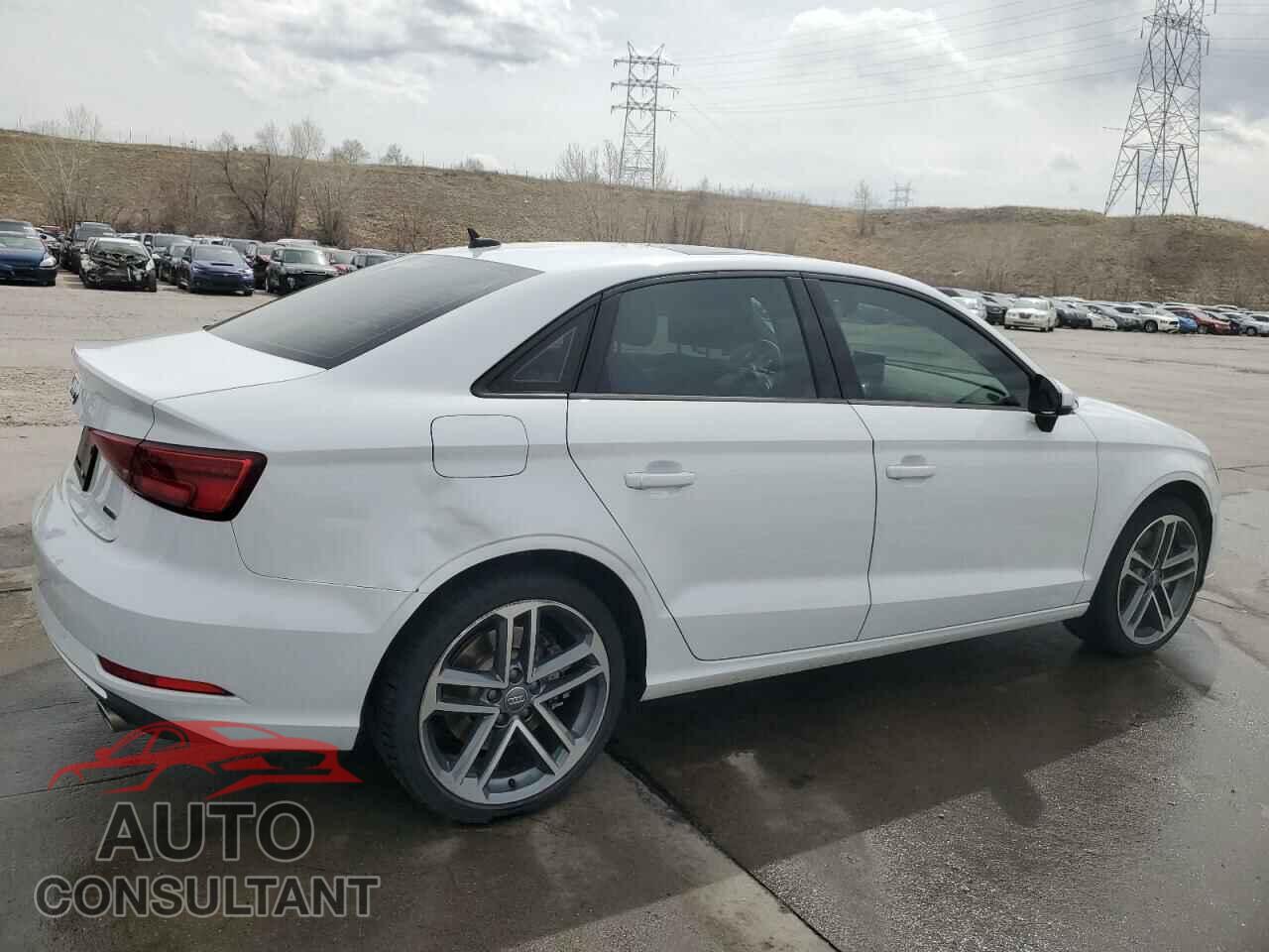AUDI A3 2019 - WAUBEGFF6K1017068
